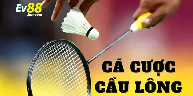 Cá cược cầu lông: Bí kíp và mẹo chơi hiệu quả cho người mới