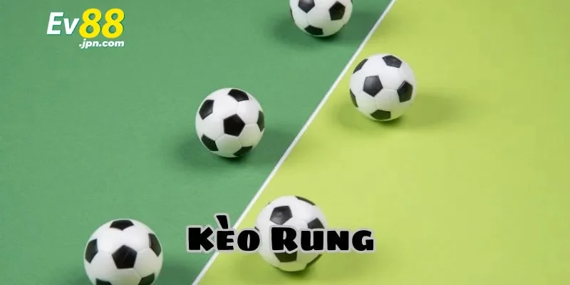 Bí quyết soi kèo rung hiệu quả