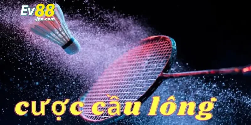 Điểm qua các dạng kèo phổ biến trong cá cược cầu lông